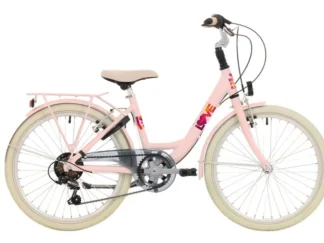 Bike Fun Kids Love Girl